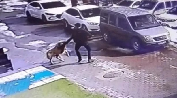 Foto - Yonca Evcimik’ten Başkan Erdoğan’a mektup! "Dünyaya örnek olabiliriz"