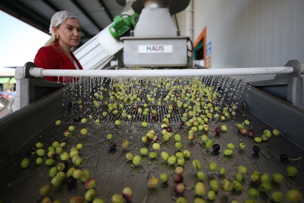 Foto - Yöneticiliği bırakıp bu işe başladı... Şimdi dünyaya satıyor