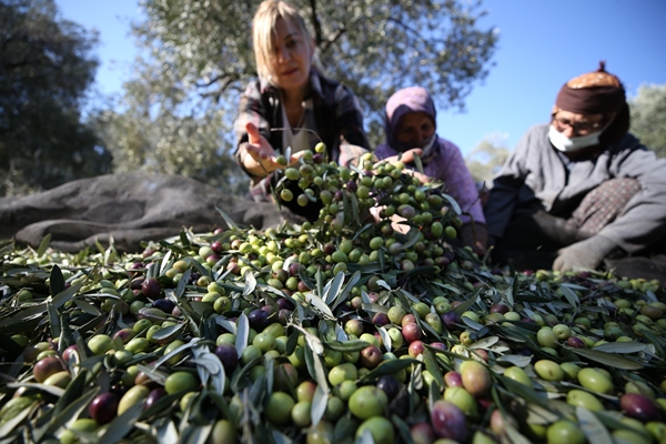 Foto - Yöneticiliği bırakıp bu işe başladı... Şimdi dünyaya satıyor
