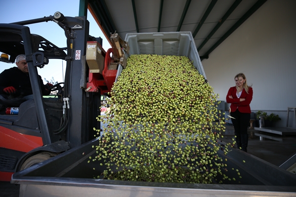 Foto - Yöneticiliği bırakıp bu işe başladı... Şimdi dünyaya satıyor