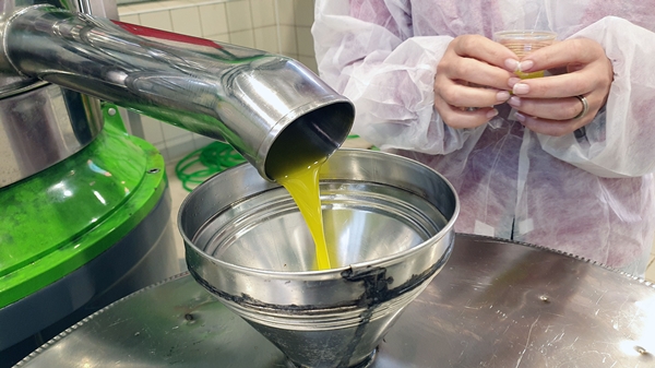 Foto - Yöneticiliği bırakıp bu işe başladı... Şimdi dünyaya satıyor