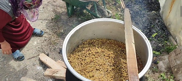 Foto - Yöre halkının tek geçim kaynağı! Kilosu 150 TL'den satılıyor