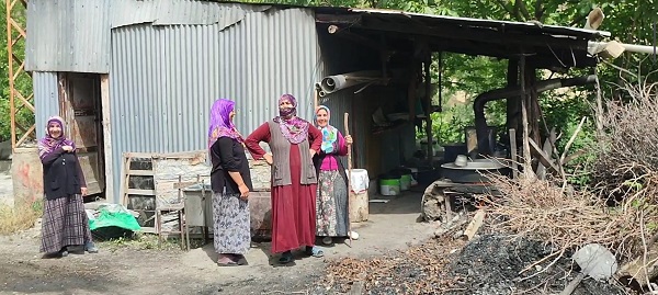 Foto - Yöre halkının tek geçim kaynağı! Kilosu 150 TL'den satılıyor