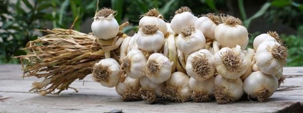 Foto - Yöresel değerlerimiz AB'de öne çıkıyor!