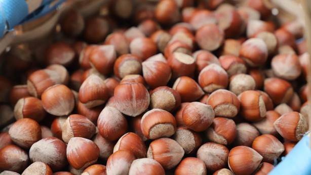 Foto - Yöresel değerlerimiz AB'de öne çıkıyor!