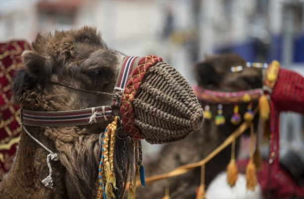 Foto - Yörük Şenliği'nden renkli görüntüler