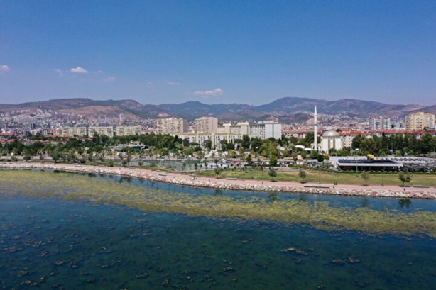 Foto - Yosunlar her yeri istila etti: Görüntüler havadan kaydedildi
