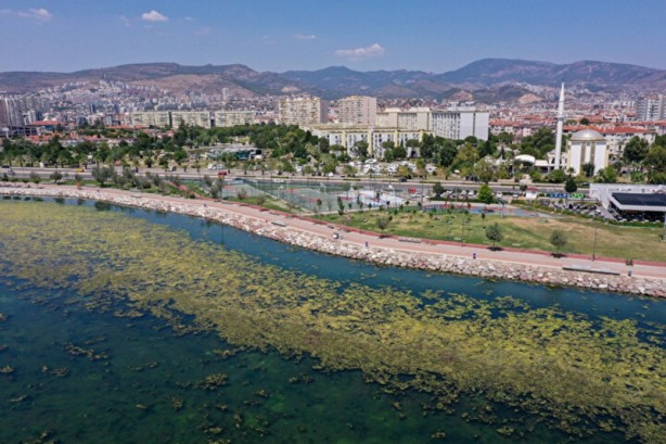 Foto - Yosunlar her yeri istila etti: Görüntüler havadan kaydedildi