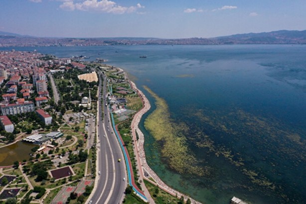 Foto - Yosunlar her yeri istila etti: Görüntüler havadan kaydedildi