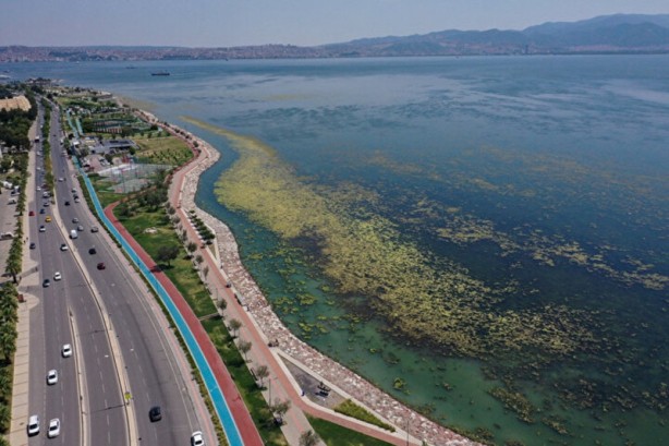 Foto - Yosunlar her yeri istila etti: Görüntüler havadan kaydedildi