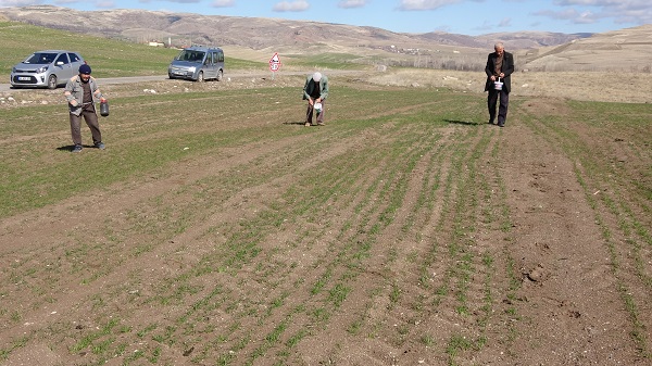 Foto - Yozgatlı çiftçilerin başı dertte!