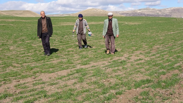 Foto - Yozgatlı çiftçilerin başı dertte!