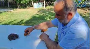 Yozgat'ta çekilen görüntü, esprili paylaşımı görenleri şaşkına çevirdi: Minik dostunu elleriyle, bal peteğiyle besliyor!