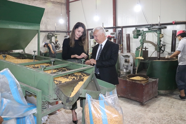 Yozgat'ta kurdu... Türkiye'nin dört bir tarafına gönderiyor