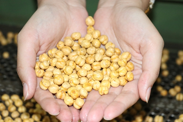 Foto - Yozgat'ta kurdu... Türkiye'nin dört bir tarafına gönderiyor