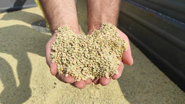 Foto - Yozgat'ta sıcak havada çiftçilerin hasat mesaisi sürüyor