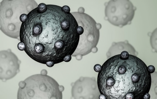 Yüksek derecede patojenik bir kuş gribi virüsü bulundu! Yeni bir salgın korkusu