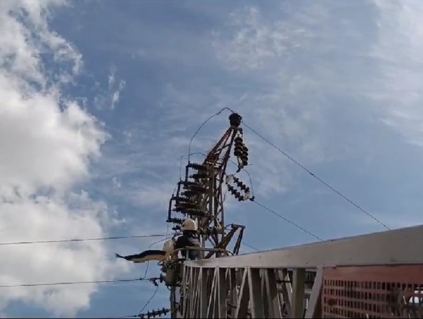 Foto - Yüksek gerilim hattında asılı kalan leyleği itfaiye kurtardı