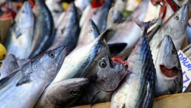 Foto - Yüksek iyot içeren besin grupları