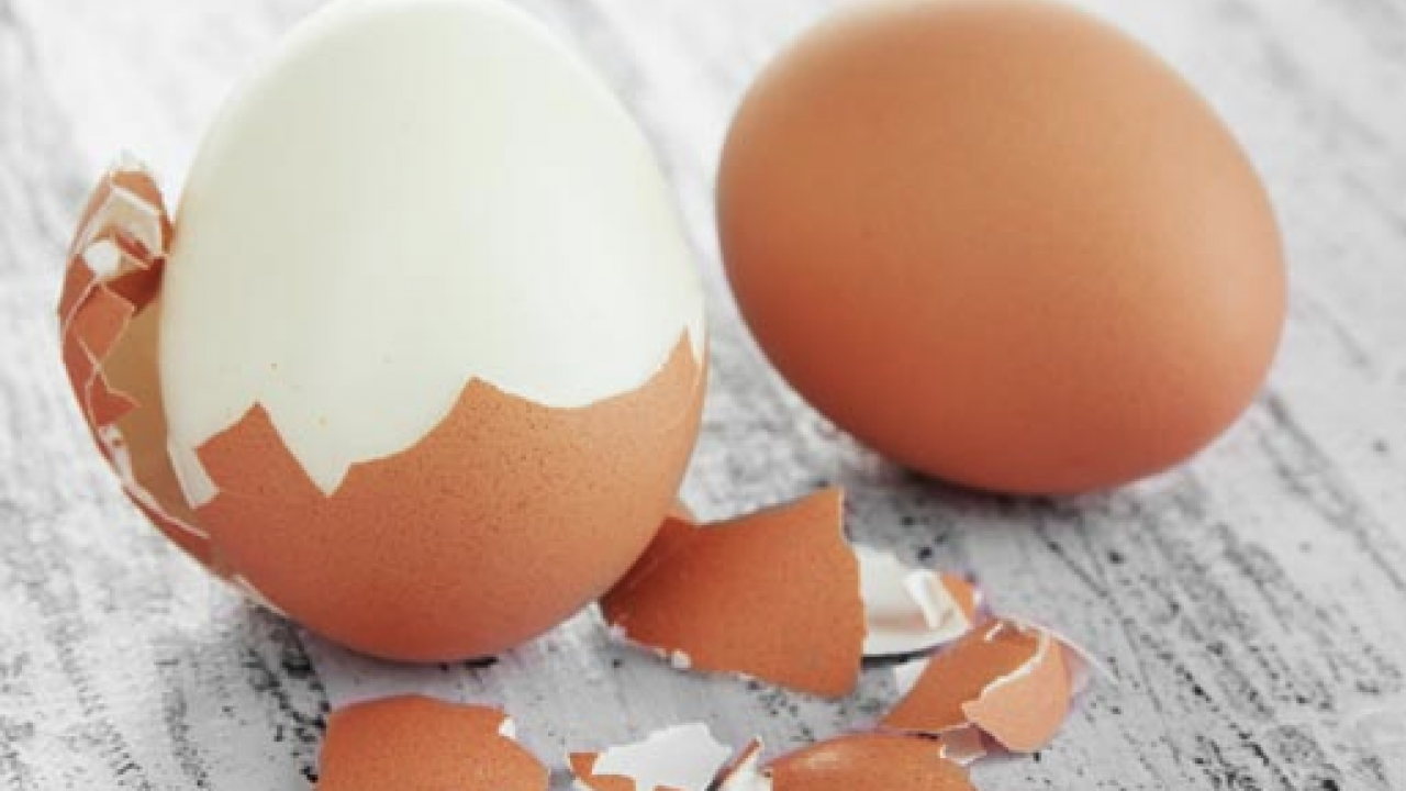 Yüksek kalsiyum ve potansiyel... Kemik sağlığının yapıtaşı bu kabuklar: Çöpe gitmesin tüketin