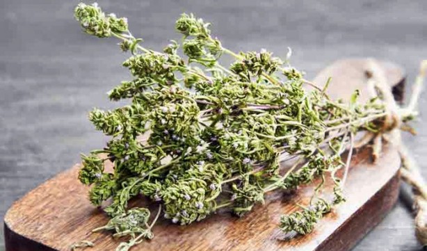 Foto - Yüksek tansiyonla savaşan 7 bitki