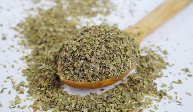 Foto - Yüksek tansiyonla savaşan 7 bitki