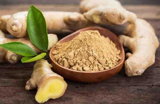 Foto - Yüksek tansiyonla savaşan 7 bitki