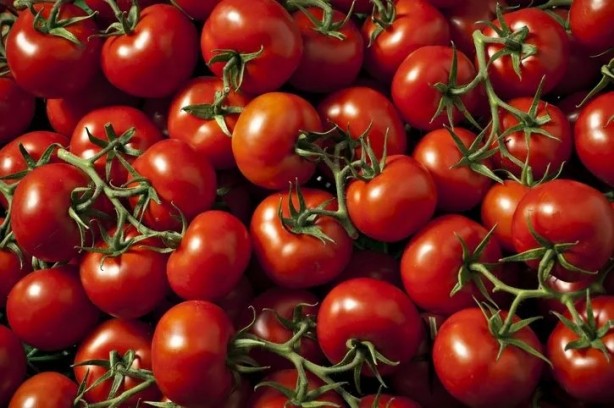 Foto - Yüksek tansiyonun doğal ilacı keşfedildi! Meğer şifa bizim topraklarımızdaymış: Günde bir tane yiyenin damarları temizleniyor...