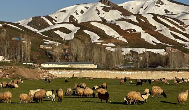 Yüksekova’da Afrika’yı andıran görüntüler