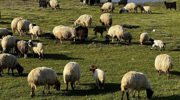 Foto - Yüksekova’da Afrika’yı andıran görüntüler