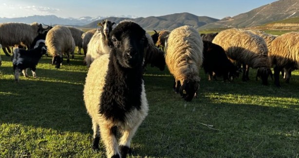 Foto - Yüksekova’da Afrika’yı andıran görüntüler