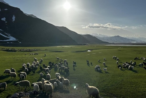 Foto - Yüksekova’da Afrika’yı andıran görüntüler