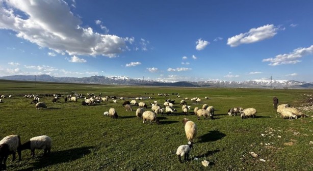Foto - Yüksekova’da Afrika’yı andıran görüntüler