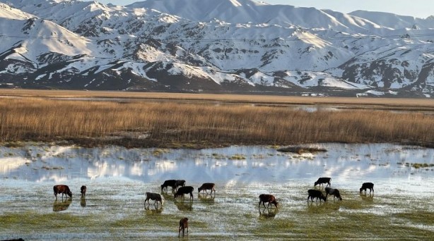 Foto - Yüksekova’da Afrika’yı andıran görüntüler
