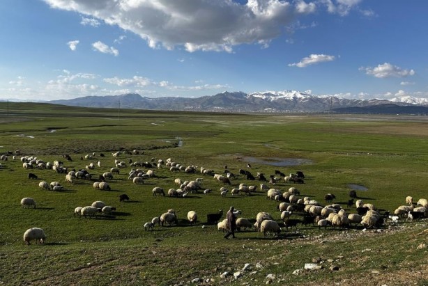 Foto - Yüksekova’da Afrika’yı andıran görüntüler