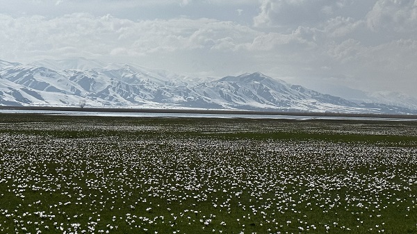 Foto - Yüksekova’da hayran bırakan manzara