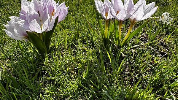 Foto - Yüksekova’da hayran bırakan manzara