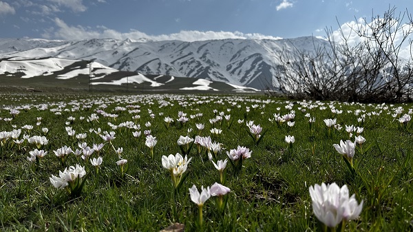 Foto - Yüksekova’da hayran bırakan manzara