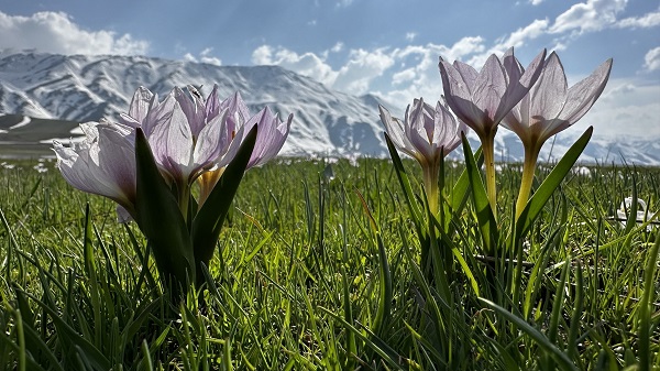 Foto - Yüksekova’da hayran bırakan manzara
