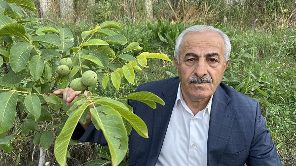 Foto - Yüksekova'dan bereket fışkırıyor