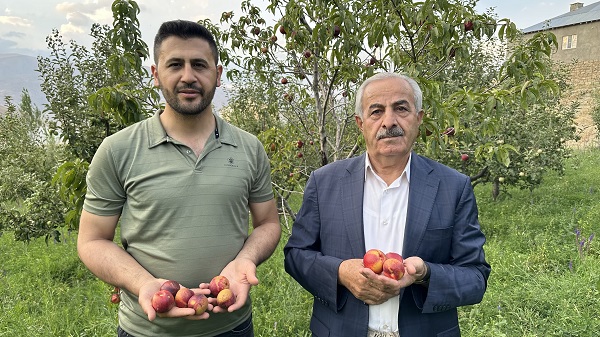 Foto - Yüksekova'dan bereket fışkırıyor