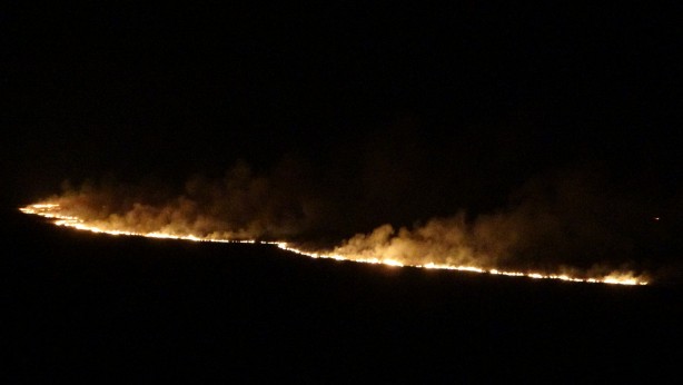 Foto - Yüksekova'nın kuş cenneti 4 gündür alev alev yanıyor