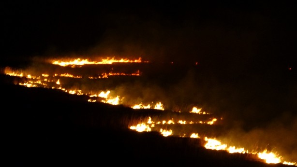 Foto - Yüksekova'nın kuş cenneti 4 gündür alev alev yanıyor