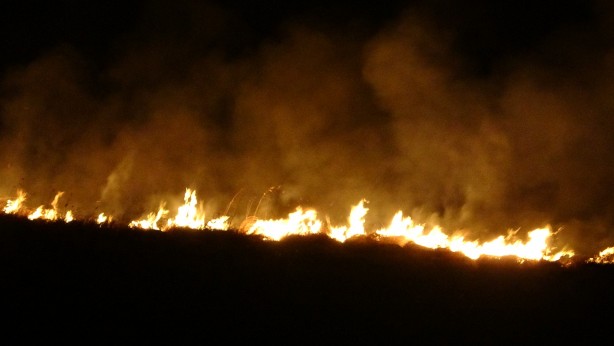 Foto - Yüksekova'nın kuş cenneti 4 gündür alev alev yanıyor