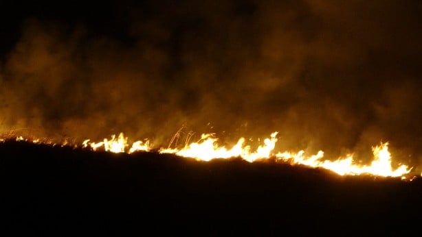 Yüksekova'nın kuş cenneti 4 gündür alev alev yanıyor