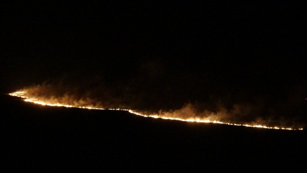 Foto - Yüksekova'nın kuş cenneti 4 gündür alev alev yanıyor