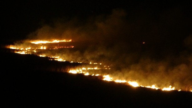 Foto - Yüksekova'nın kuş cenneti 4 gündür alev alev yanıyor