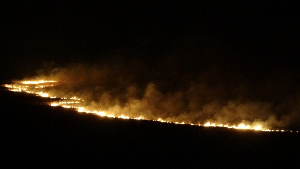 Foto - Yüksekova'nın kuş cenneti 4 gündür alev alev yanıyor