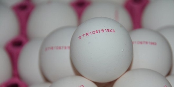Foto - Yumurta alırken bu detaya dikkat edin! Bu numaraların sırrı ne?