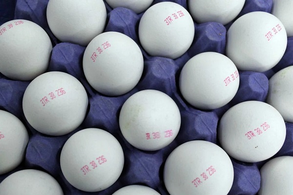 Foto - Yumurta alırken bu detaya dikkat edin! Bu numaraların sırrı ne?